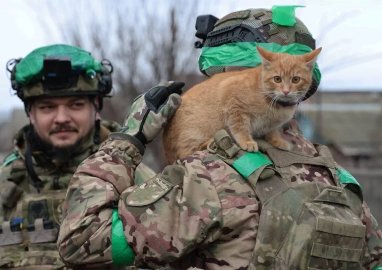 Боєць ЗСУ «Дикун» тримає 19-річного оранжевого кота на плечі на фронті