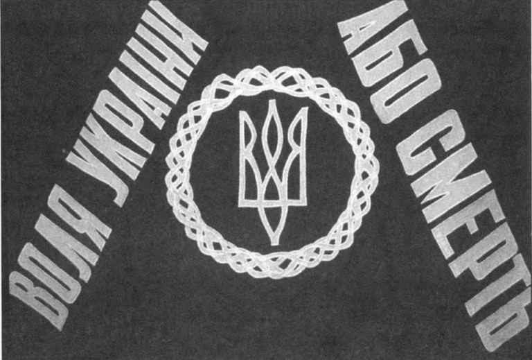 6007_OCJBYGaitm