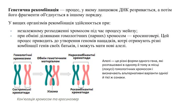 ДНК-аналіз родинного склепу Колумба: звязок з родом Сотомайор у Галісії