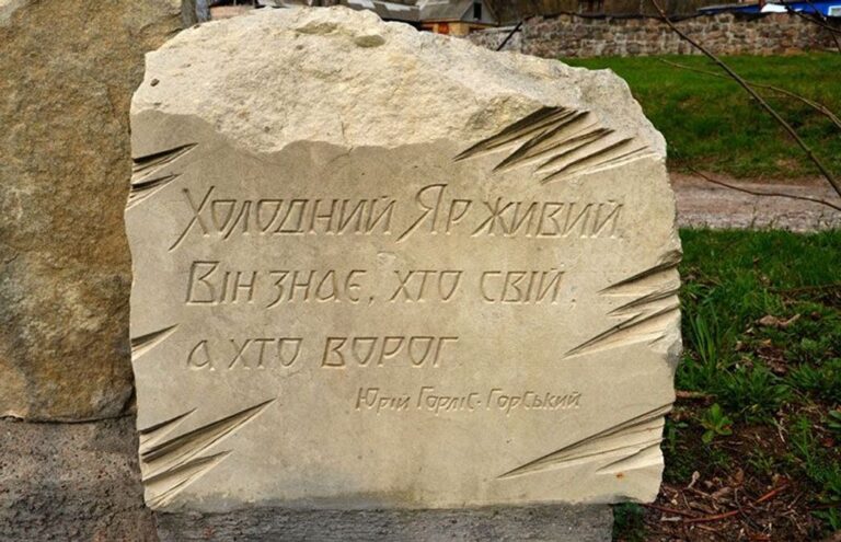 image (14)