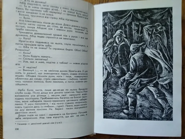 image (24)