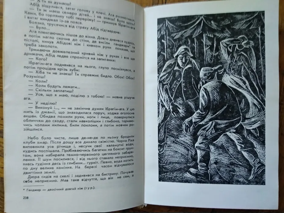 image (24)