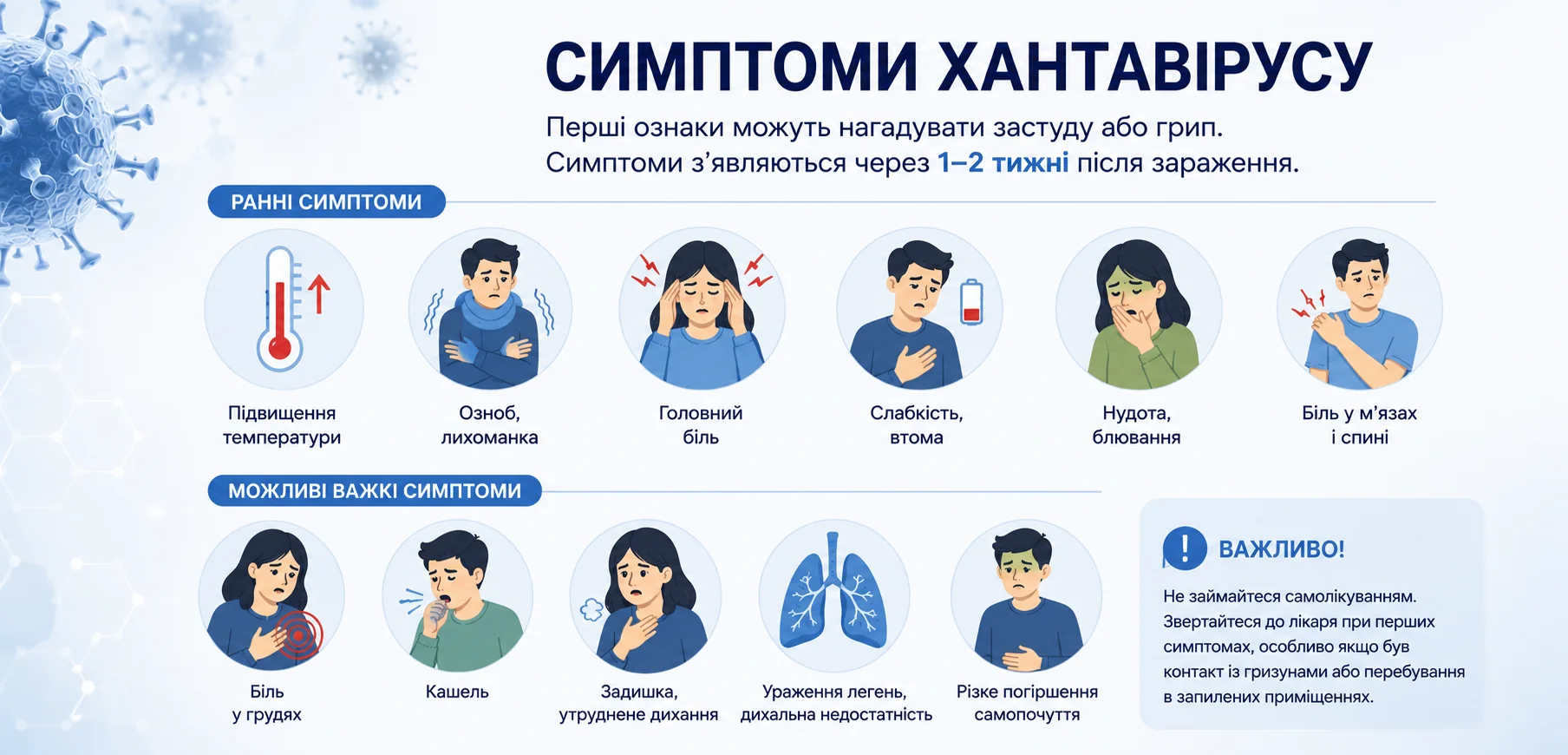Інфографіка симптомів хантавірусу: ранні ознаки схожі на застуду та важкі ускладнення