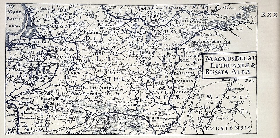 Magnus_Ducat_Lithuaniae_and_Rus_Alba(Belarus)