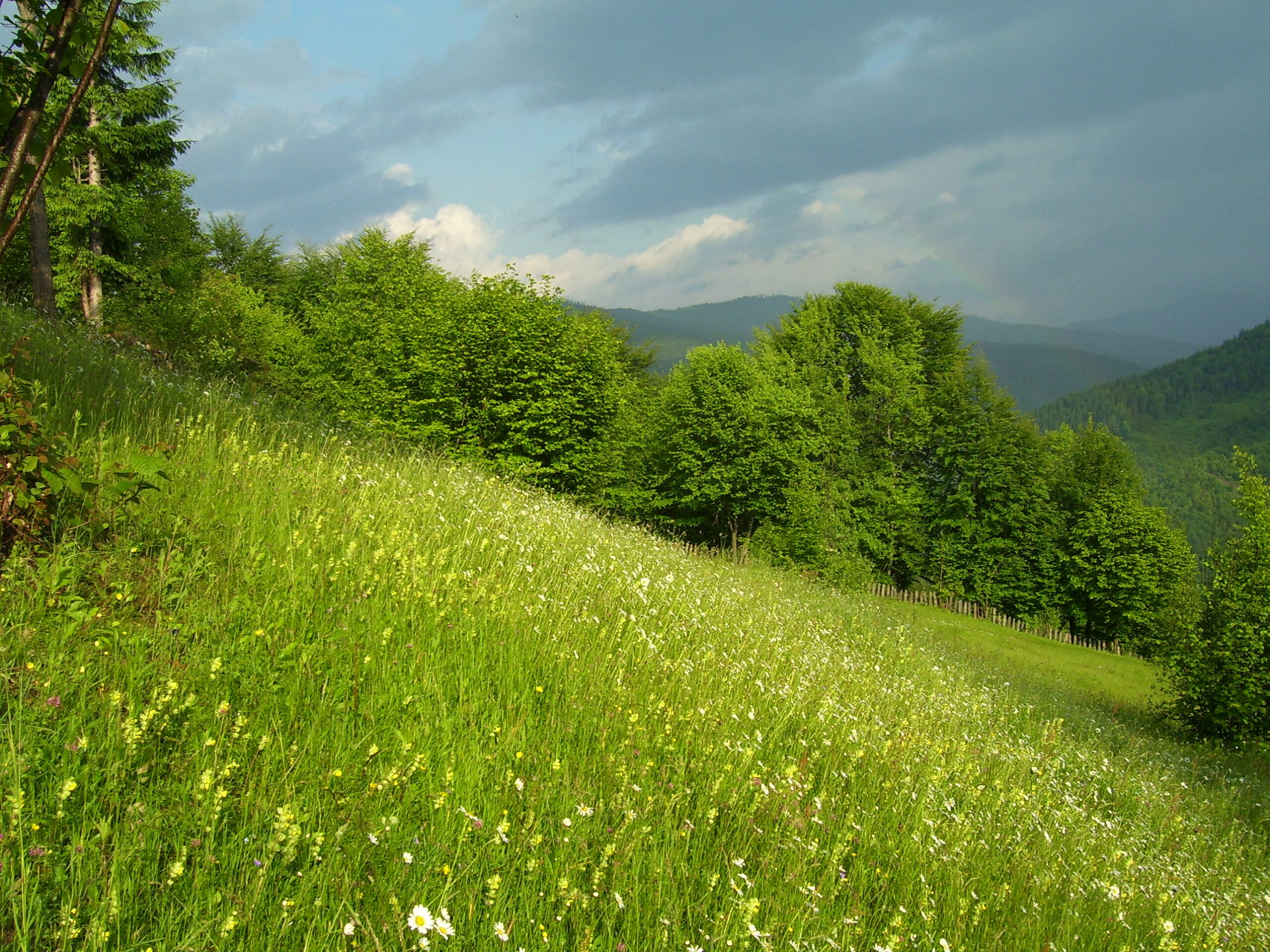 openGraphImage__100_1516
