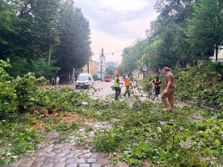 Комунальники прибирають повалені дерева після буревію на вулиці Львова