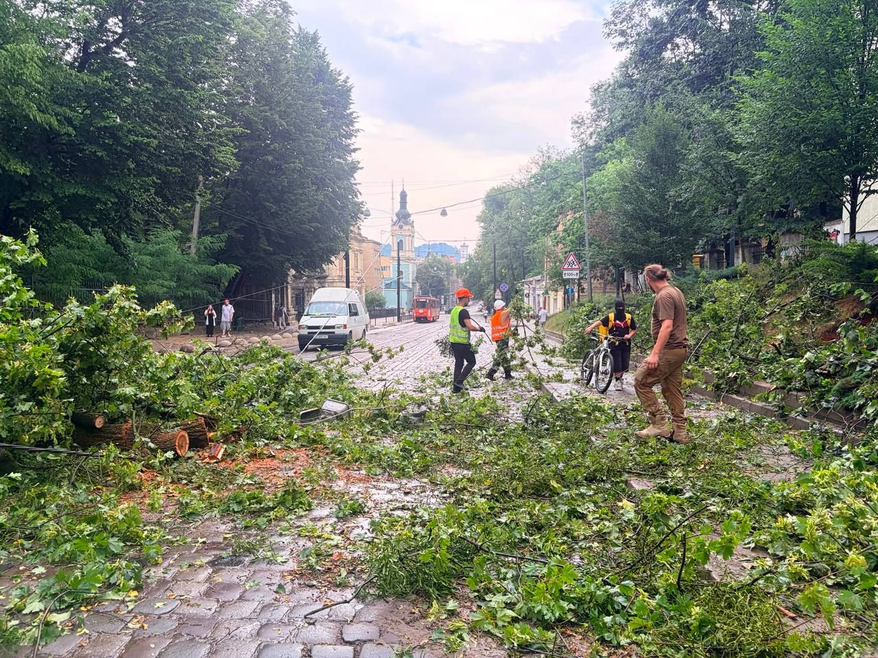 Комунальники прибирають повалені дерева після буревію на вулиці Львова