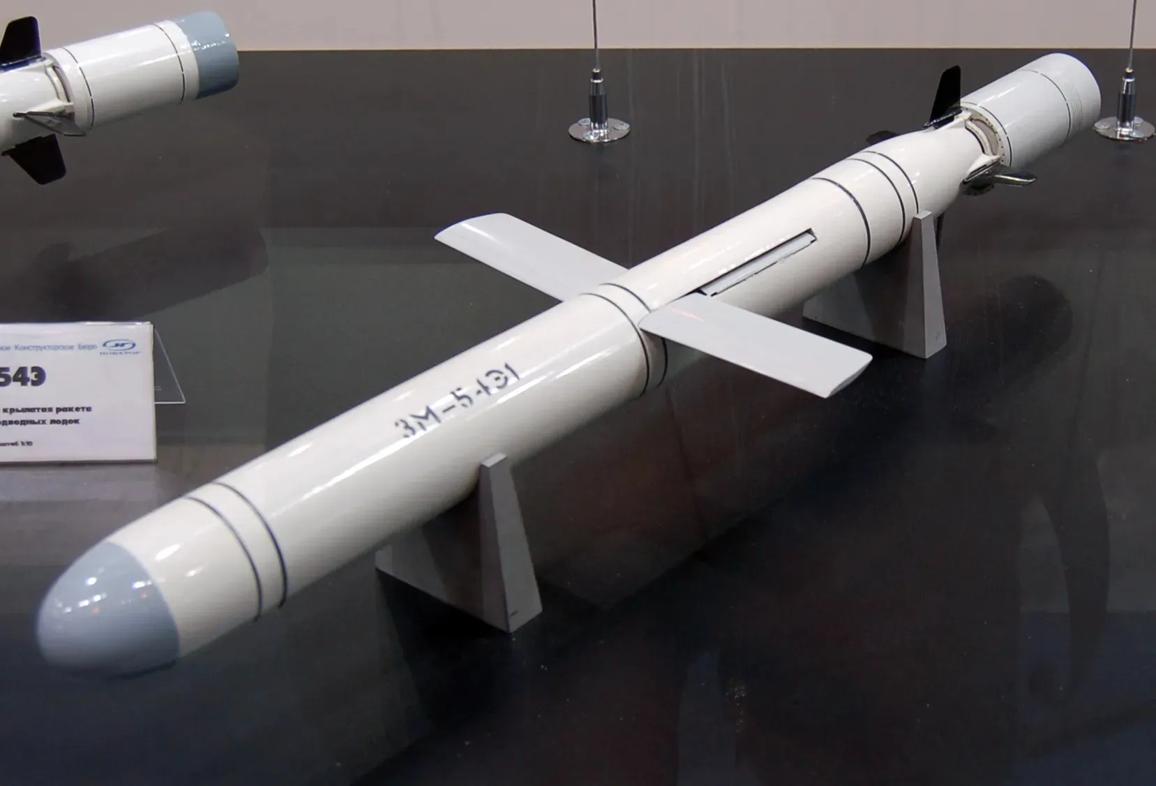 kalibr-raketa-dalnist-533-mm-shcho-formuie-mozhlyvosti-do-2600-km-b142