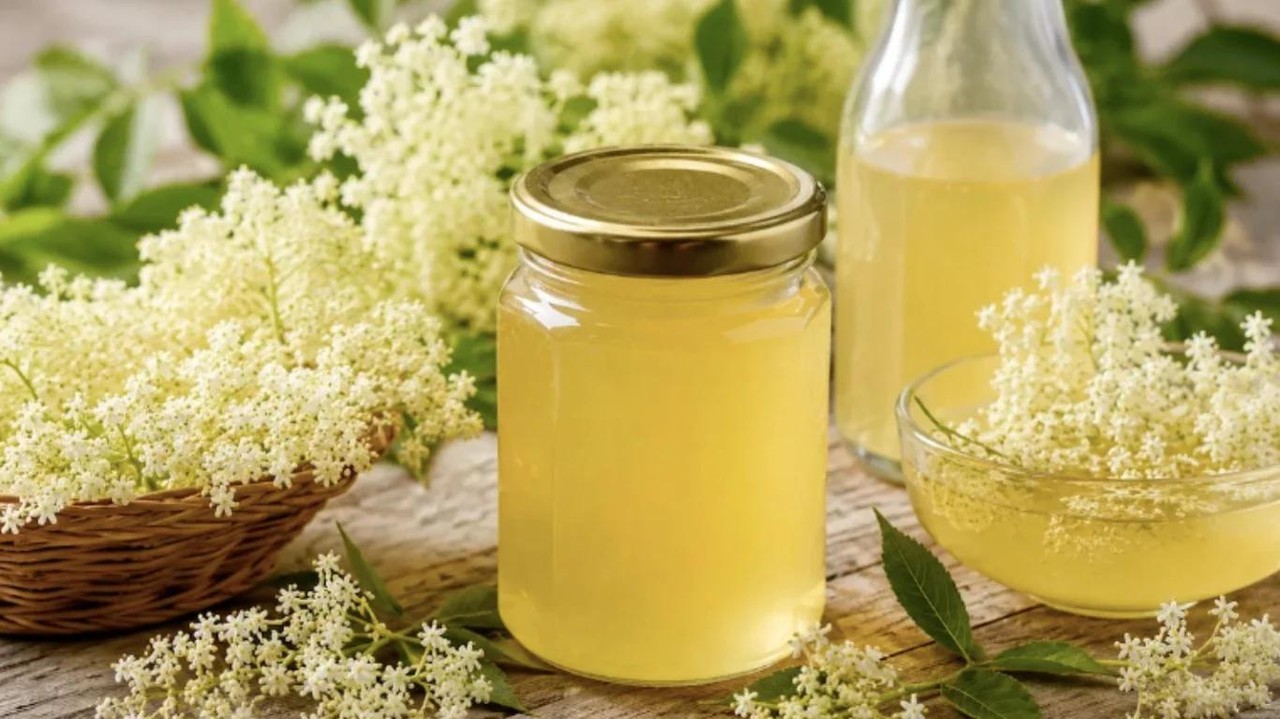 med-z-buzyny-domashnii-aromatnyi-syrop-z-tsiliushchymy-kvitamy-buzyny-chornoi-47f0
