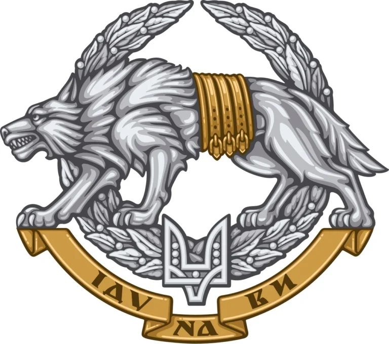 syly-spetsialnykh-operatsii-zsu-profesionaly-nemozhlyvoho-df25