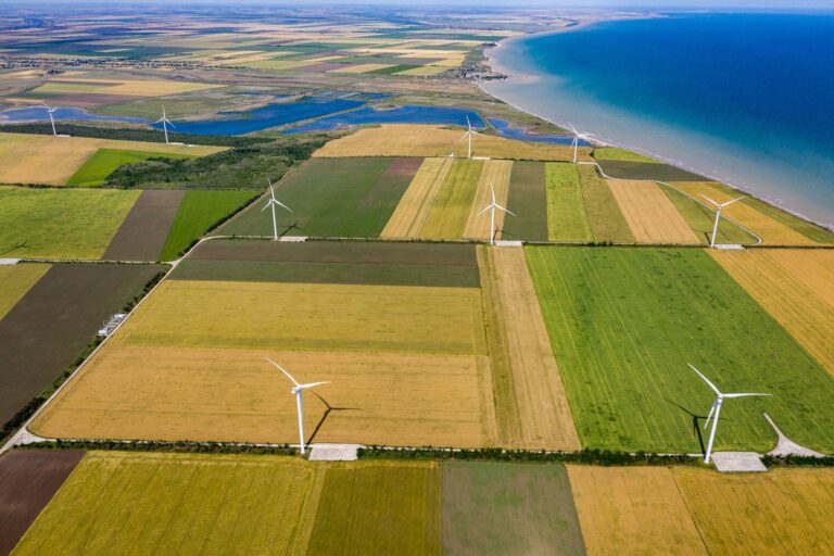 Вітрові електростанції серед полів біля моря як розподілена генерація в Україні