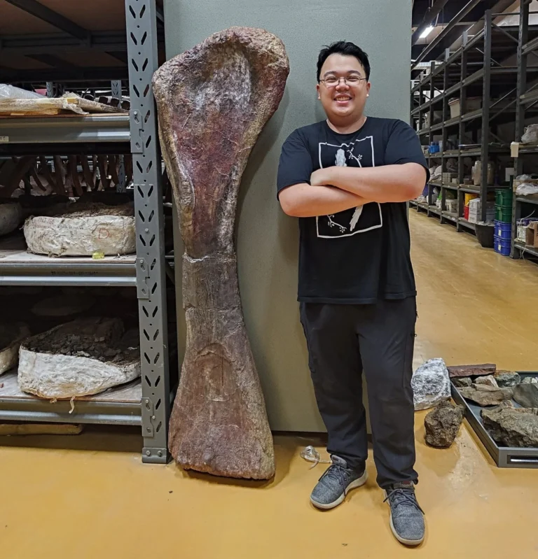 Дослідник Університету Махасаракгаму з кісткою Uragasaurus kalasinensis