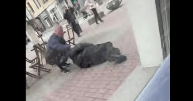 Чоловік лежить на бруківці після падіння з третього поверху ТЦК в Ужгороді