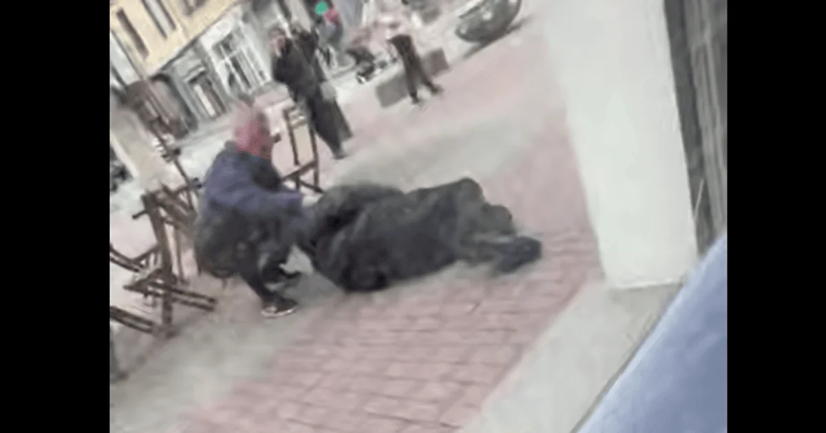 Чоловік лежить на бруківці після падіння з третього поверху ТЦК в Ужгороді