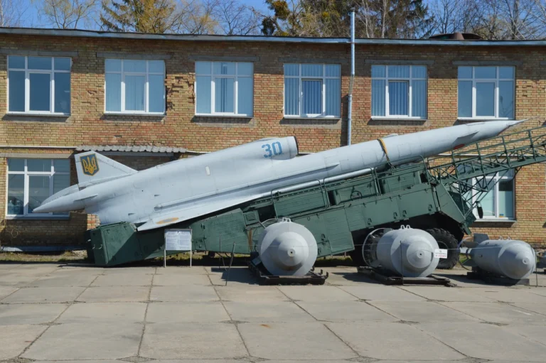 tu-141-stryzh-istoriia-kharakterystyky-ta-suchasne-zastosuvannia-67a8