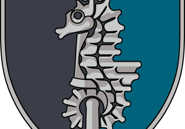 73-tsentr-sso-morskyi-spetsnaz-ukrainy-iakyi-diie-pid-vodoiu-na-sushi-i-u-tylu-v-08b4