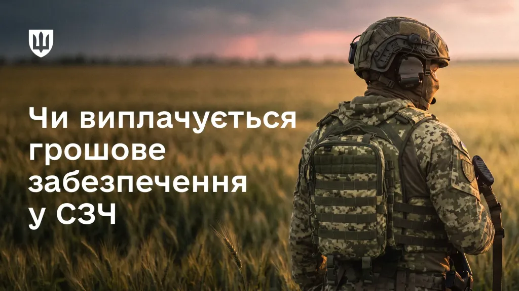 Військовослужбовець у камуфляжі стоїть у пшеничному полі на тлі заходу сонця